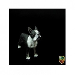 1/6 Dog Boston Terrier