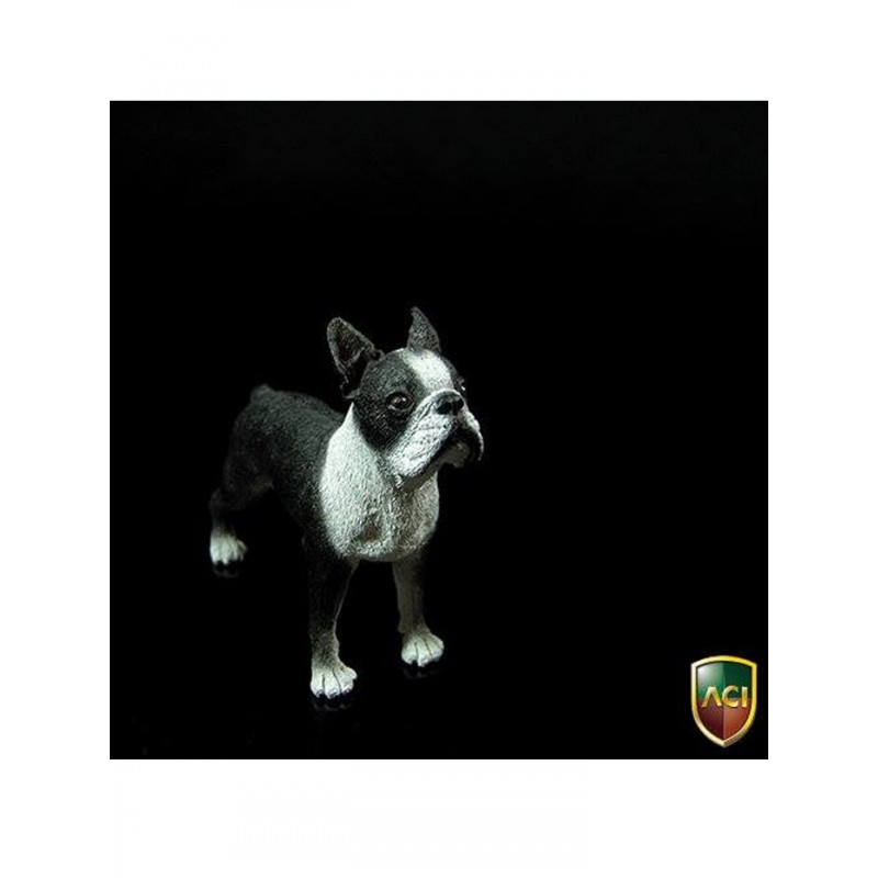 1/6 Dog Boston Terrier