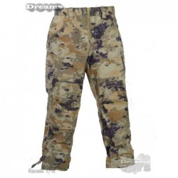 1/6 Pantalon Camo Flagset