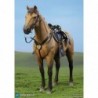 1/6 Civil War Brown War Horse (Standing)