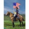 1/6 Civil War Brown War Horse (Standing)