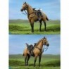 1/6 Civil War Brown War Horse (Standing)