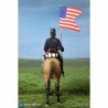 1/6 Civil War Brown War Horse (Standing)