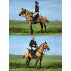 1/6 Civil War Brown War Horse (Standing)