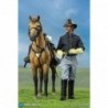 1/6 Civil War Brown War Horse (Standing)