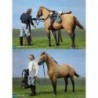 1/6 Civil War Brown War Horse (Standing)