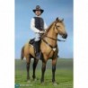 1/6 Civil War Brown War Horse (Standing)