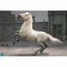 1/6 Napoleon White War Horse (Prancing)