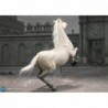 1/6 Napoleon White War Horse (Prancing)