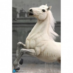 1/6 Napoleon White War Horse (Prancing)