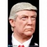 1/6 47th President - Donald Trump