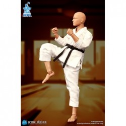 1/12 Karate Player