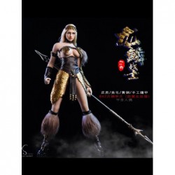 1/6 Set Dragon Female Warrior Armor A Edition