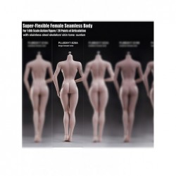 1/6 S20A Large Bust Super Flexible Female Seamless Body