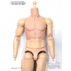 1/6 Cuerpo 3.5 Dam Toys