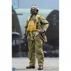 1/12 Palm Hero Series – WWII U.S. Army Air Force Pilot – Captain Rafe