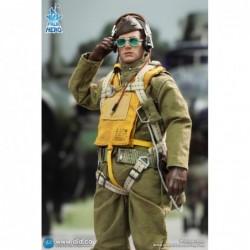 1/12 Palm Hero Series – WWII U.S. Army Air Force Pilot – Captain Rafe