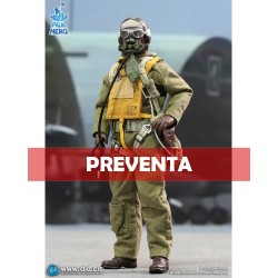 1/12 Palm Hero Series – WWII U.S. Army Air Force Pilot – Captain Rafe
