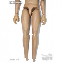 1/6 Cuerpo Easy & Simple