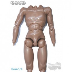 1/6 Cuerpo TTL