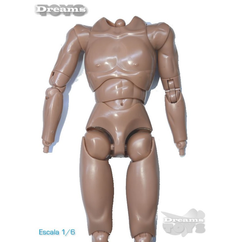 1/6 Cuerpo TTL
