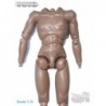 1/6 Cuerpo TTL