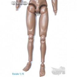 1/6 Cuerpo TTL