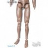 1/6 Cuerpo TTL