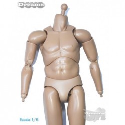1/6 Cuerpo Dam Toys