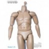 1/6 Cuerpo Dam Toys