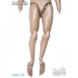 1/6 Cuerpo Dam Toys
