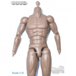 1/6 Cuerpo Dam Toys
