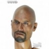 1/6 Cabeza Johnson Hot Toys